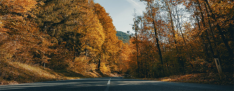 Autumn Tyre Checks