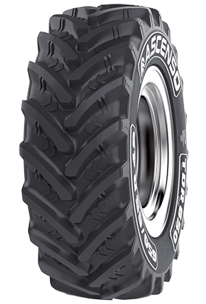 Ascenso TDR 650 tyres 